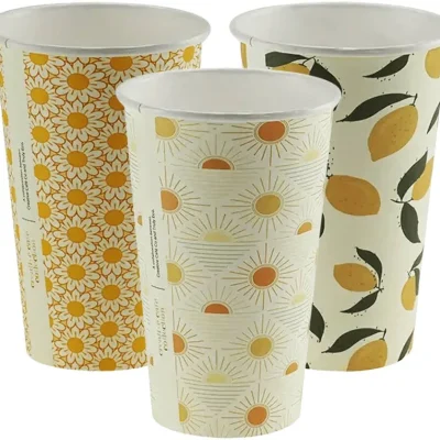 16OZ ART SERIES SINGLE WALL