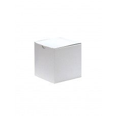 SINGLE CUP CAKE BOX NO WINDOW