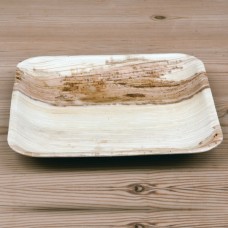 ECO PLATE SQUARE LARGE 200MM